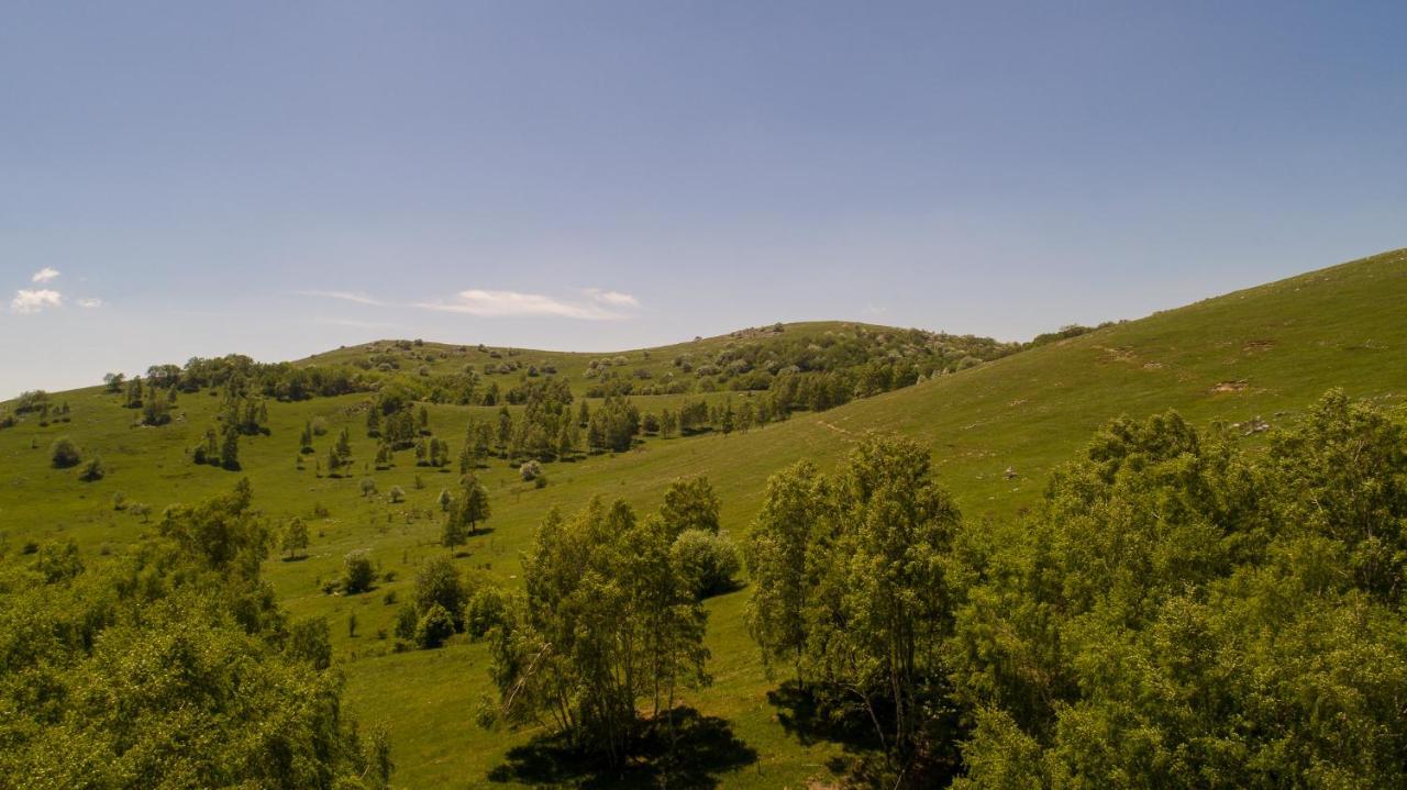 Vila Tea Villa Novi Vinodolski Buitenkant foto